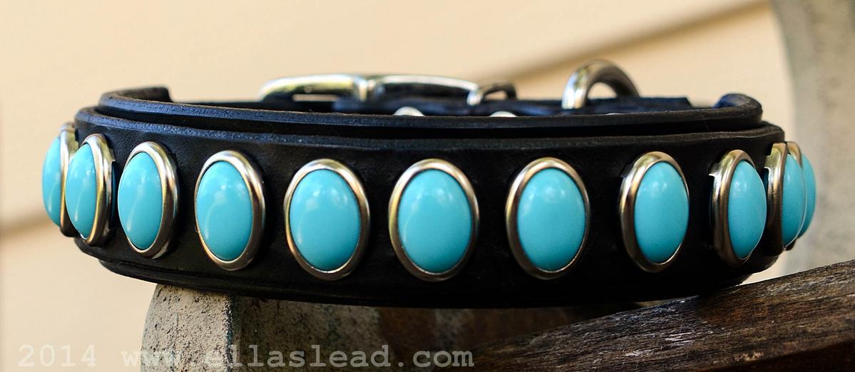 Dani Collar