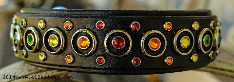 The Grand Rainbow Pupil Collar
